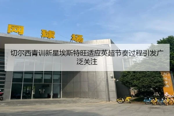 切尔西青训新星埃斯特旺适应英超节奏过程引发广泛关注