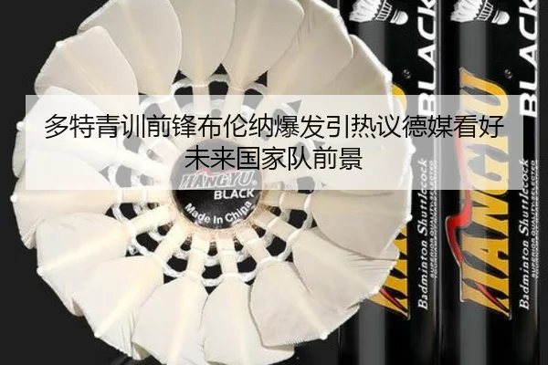 多特青训前锋布伦纳爆发引热议德媒看好未来国家队前景